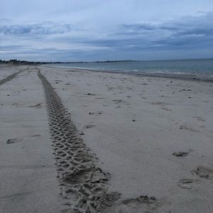 Meet your Posher, Rylie